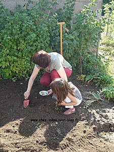 potager-2011-07.jpg