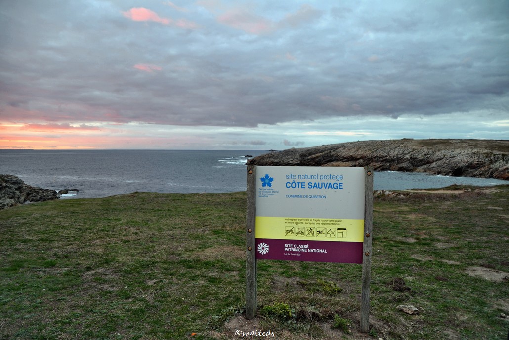 Côte sauvage de Quiberon (56)