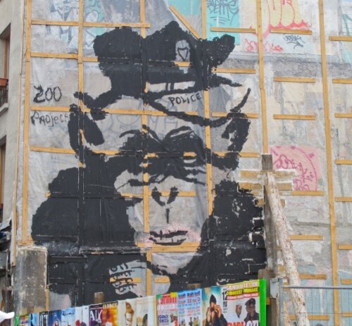 Zoo-Project-singe-street-art-demolition-1.jpg