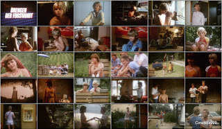 Drengen der forsvandt / The Boy Who Disappeared. 1984. HD.