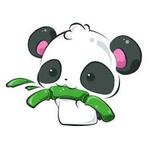 Top 10 des panda kawaii