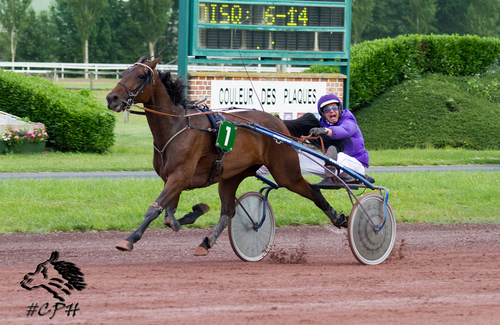 PRIX INDY DE VIVE