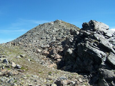 antécime Ouille du Midi