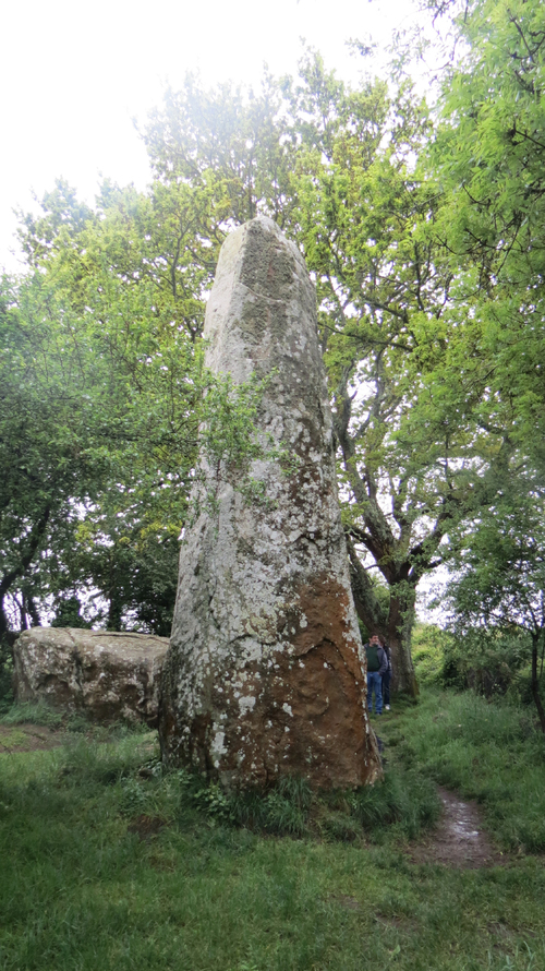 Les Mégalithes d'Erdeven 