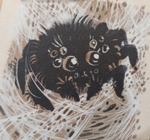 les araignées