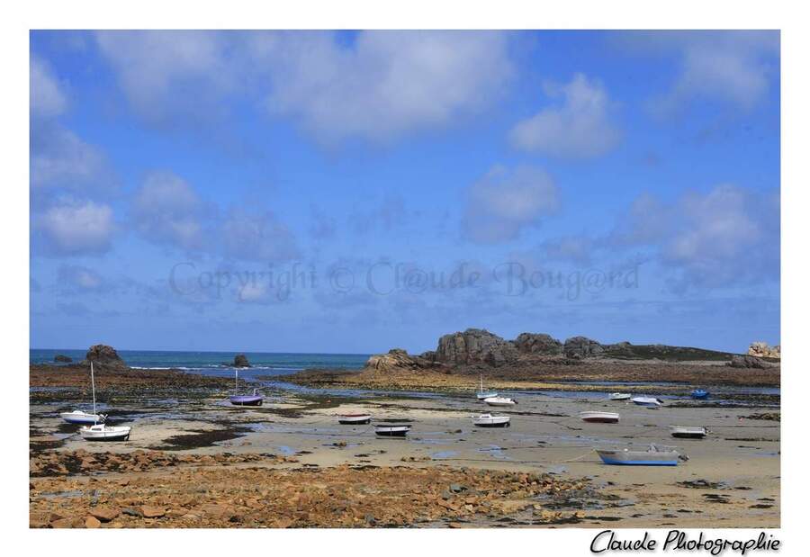 Plougrescant - Côtes d'Armor - Bretagne - 13 Mai 2014