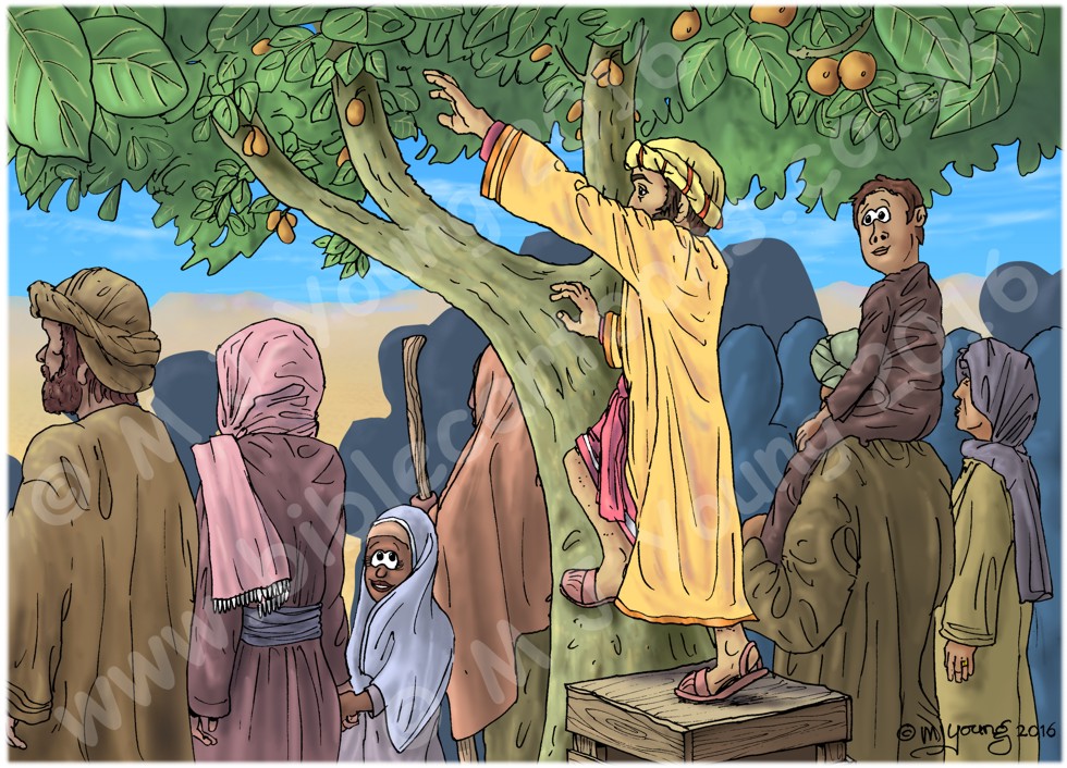 Luke 19 - Zacchaeus the tax collector - Scene 03 - Climbing tree 980x706px col