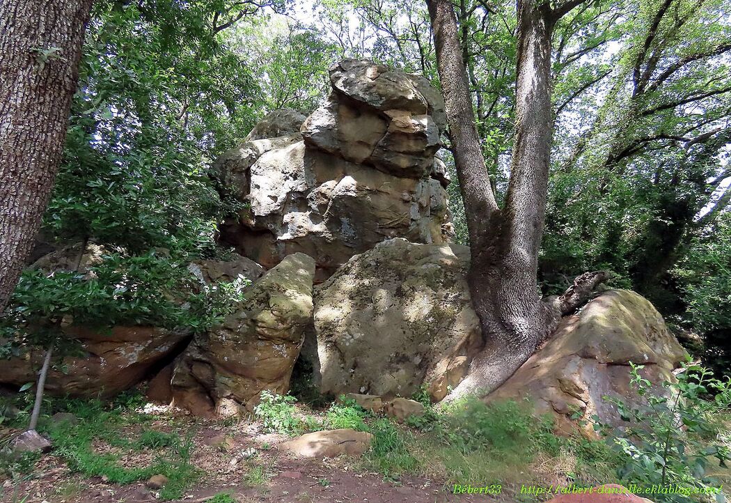 l'étang de la Capelle dans le Gard