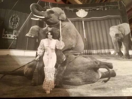 Annette Suskow à la présentation des éléphants du cirque Jean Richard ( archives Daniel Suskow)