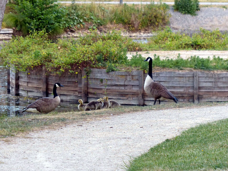 Balade en famille