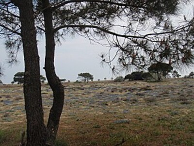 PROMENADE A VELO ENTRE LE BARCARES ET LEUCATE