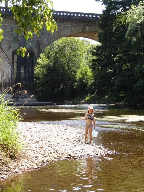 Baignades en Dordogne...