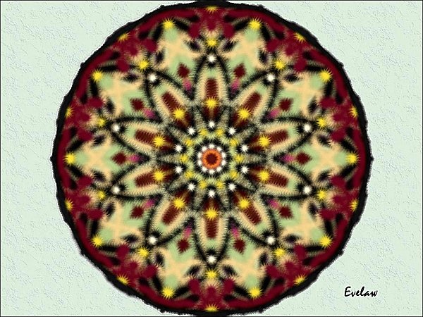 mandala206