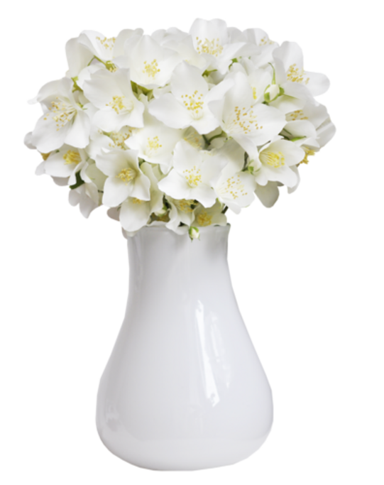 Fleurs en Vase