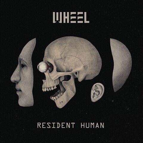 WHEEL - Un nouvel extrait de l'album Resident Human dévoilé