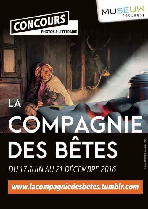 La compagnie des bêtes