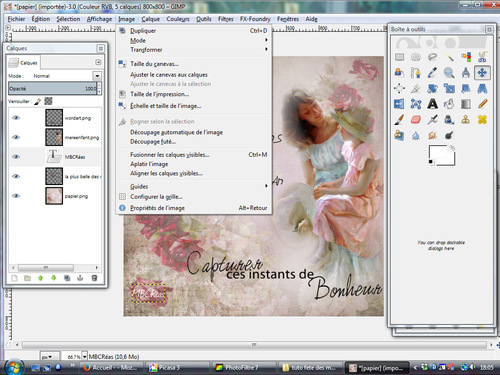 Tuto fête des mères avec the GIMP