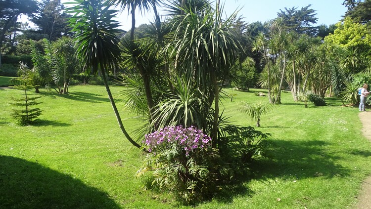 Une semaine à l'ile de Batz chez Zaza avec ma féline - Le jardin colonial - Des fleurs ici et là