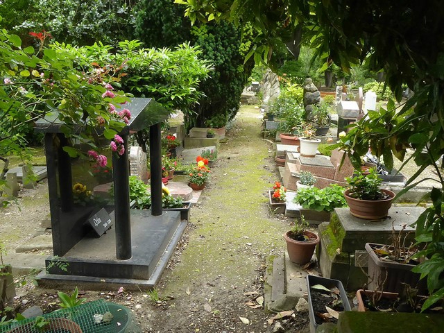 P1060012