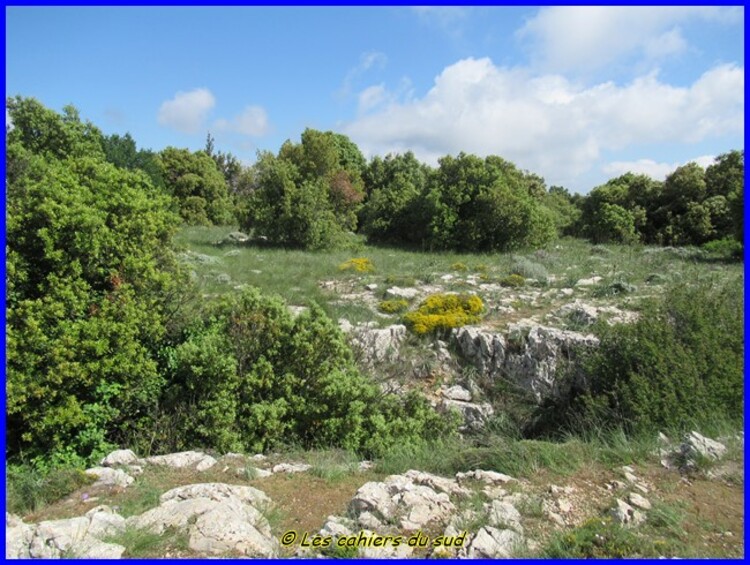 Sainte Baume la tour cauvin