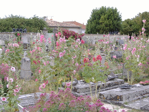 Souvenirs de vacances en Charente Maritime