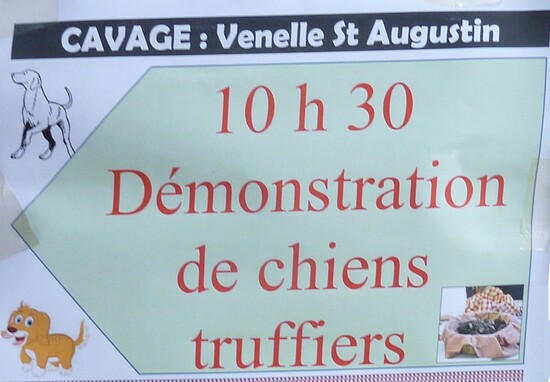 Démo cavage au marché truffier de Villebois.