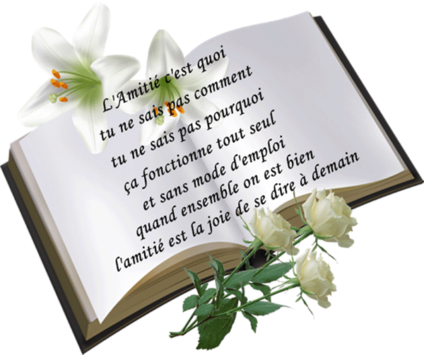 Citations Sur L Amitie Hebdonews