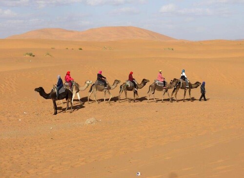 Toujours des caravanes 