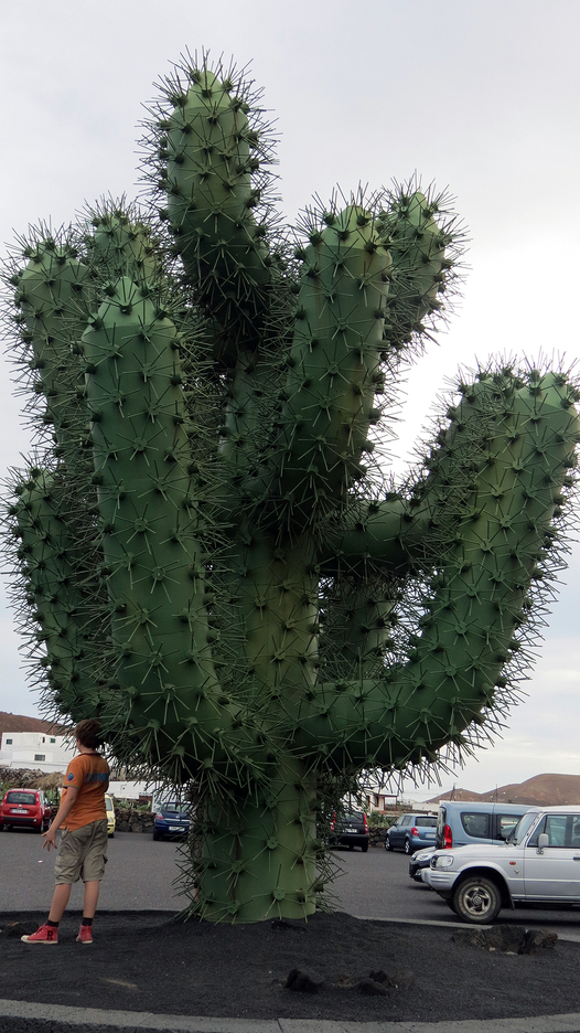 Lanzarote : Jardin des cactus