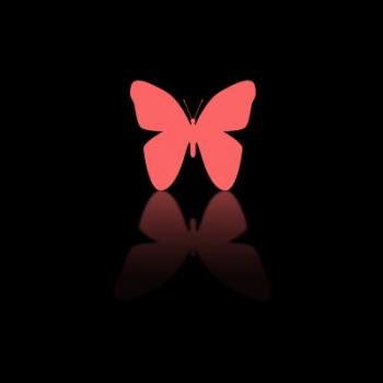 étape 5 final étape 5 final