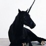 Image de black, unicorn, and horse
