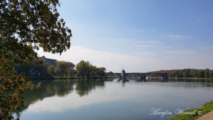 Avignon (84) : Le pont