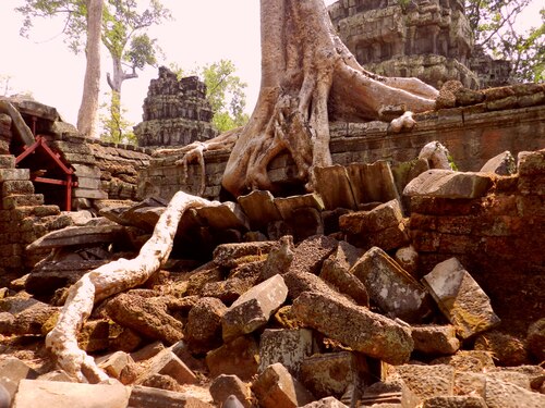 CAMBODGE, temple Ta prohm