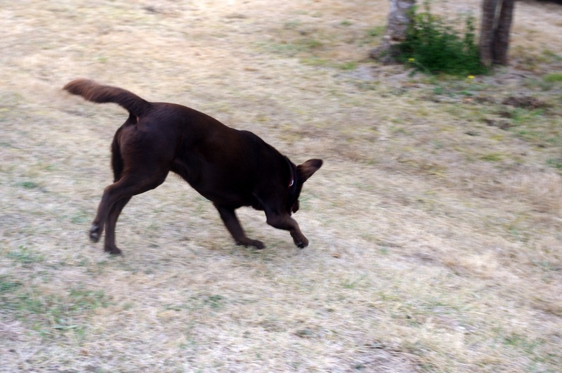 Entraînement du 09 septembre 2012