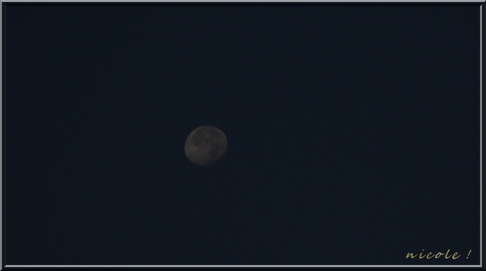 Ma lune !!!!!!!!!!!!!!!!