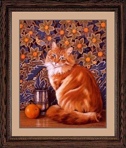 John Alderton - " The Orange Cat " - United Kingdom