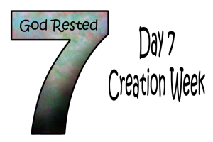 7_Day 7 Semaine de la création