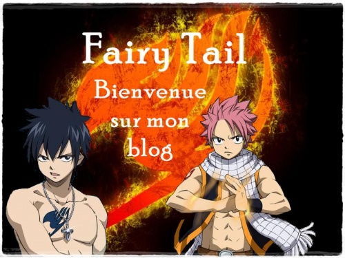 Bannière Fairy Tail.