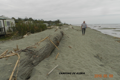 plage et l étang de diane