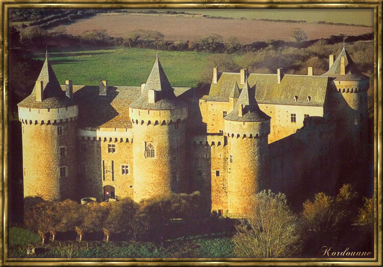 Sarzeau, Château de Suscinio