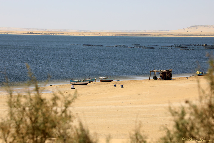 Lac Inférieur Parc National de Wadi El-Rayan