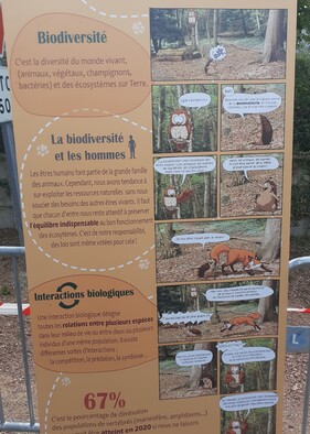 Septembre : Biodiversité