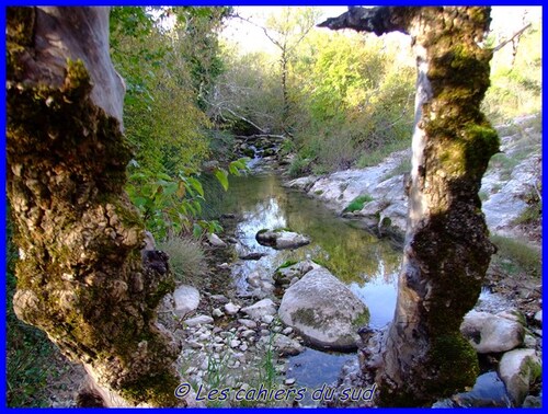 Les gorges du Caramy