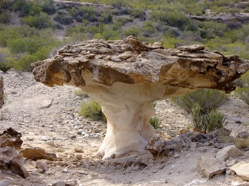 La vallée de la Lune & PN Talampaya