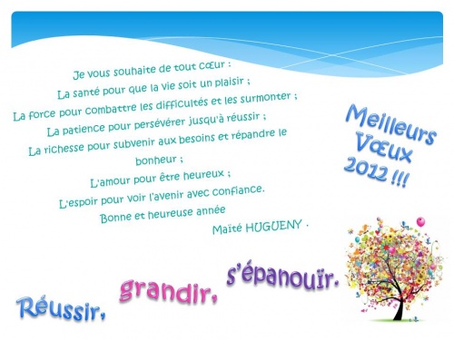 MEILLEURS VOEUX pour 2012 !!!