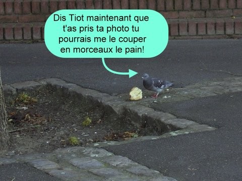 On ne trate pas le super humour du dimanche chez Tiot.