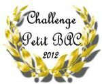 logo challenge petit bac