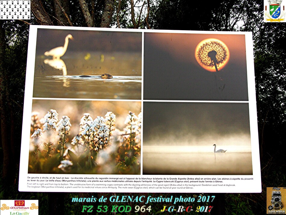 FESTIVAL PHOTO LA GACILLY # GLENAC # LA CHAPELLE GACELINE  3/5     D    05/07/2017