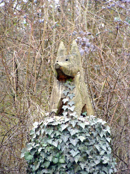 Animaux Châtillonnais