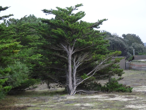 La plage de la Turballe du coté sauvage des dunes